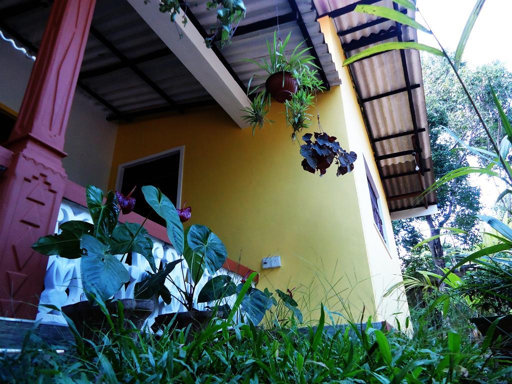Sigiri Sithru Home Stay Сігірія Екстер'єр фото